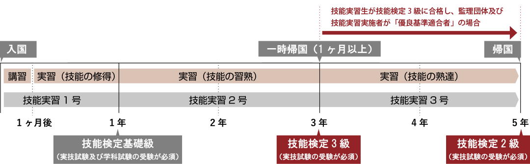 技能実習生の受入れ期間