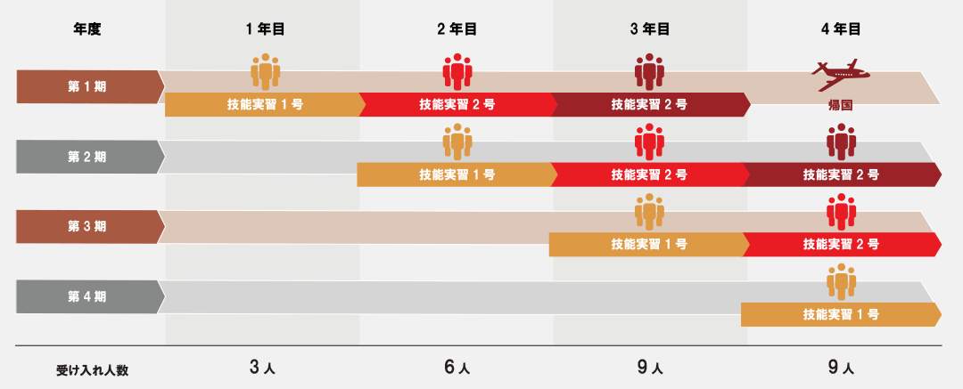 技能実習生の受け入れ人数枠